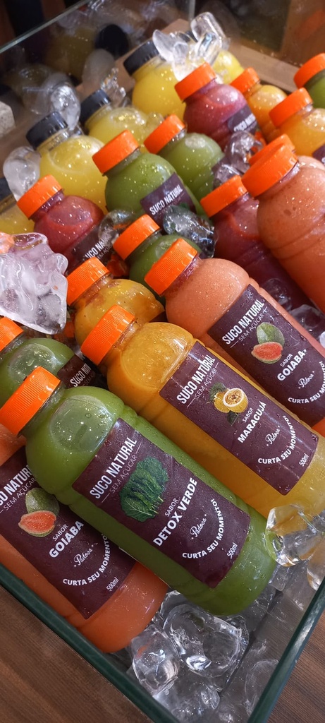 Suco de Abacaxi com Hortelã 500 ml
